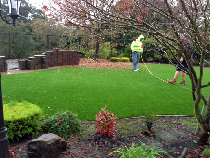 Synthetic Grass Shackelford, California Landscape Ideas, Backyard Landscape Ideas