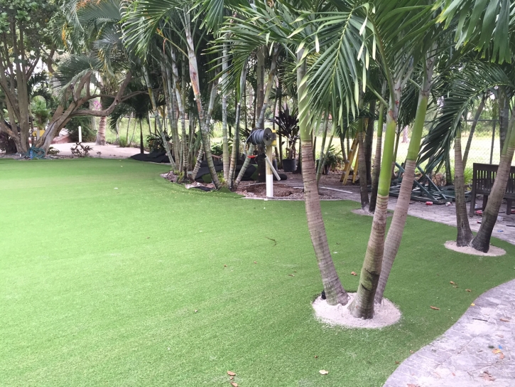 Synthetic Grass Turlock, California Lawn And Landscape, Commercial Landscape