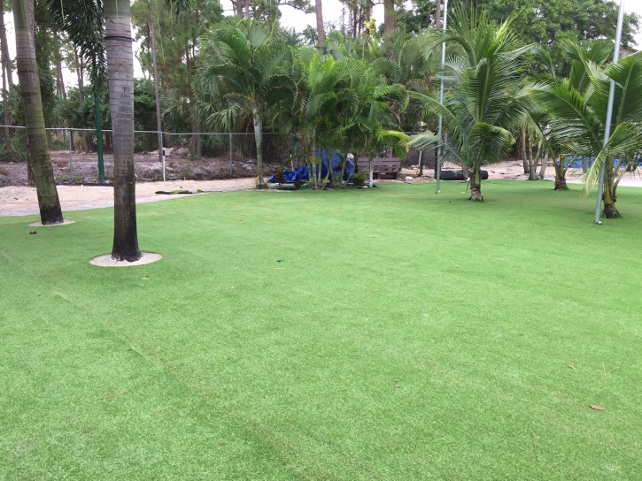 Synthetic Lawn Crows Landing, California Gardeners, Commercial Landscape