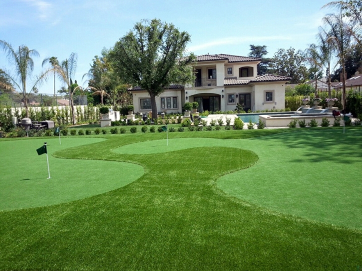 Synthetic Lawn Empire, California Gardeners, Front Yard Ideas