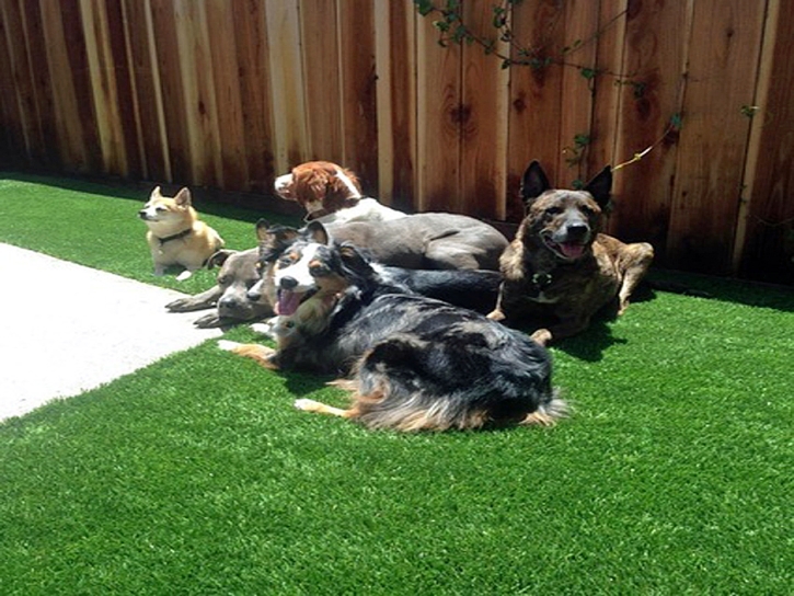 Synthetic Lawn Oakdale, California Fake Grass For Dogs, Backyard Landscaping Ideas