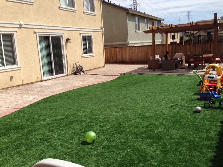 Synthetic Lawn Salida, California Home And Garden, Backyard Garden Ideas