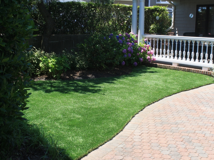 Synthetic Lawn Waterford, California Grass For Dogs, Front Yard Landscaping Ideas