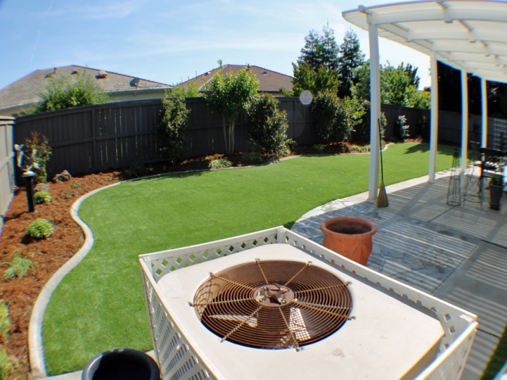 Synthetic Turf Bret Harte, California City Landscape, Backyard Ideas