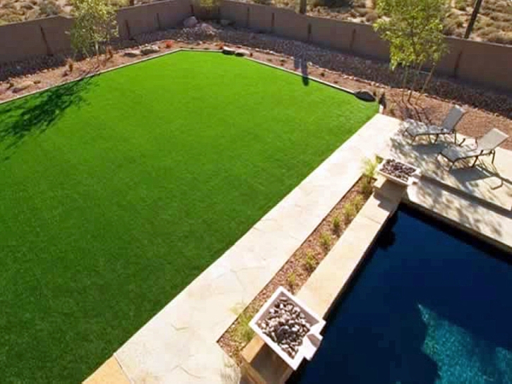 Synthetic Turf Hickman, California Landscape Ideas, Small Backyard Ideas