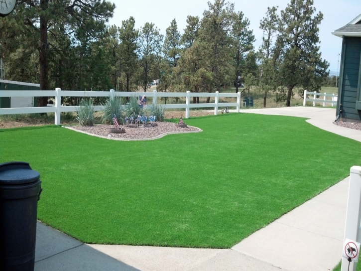 Synthetic Turf Oakdale, California Gardeners, Front Yard Design