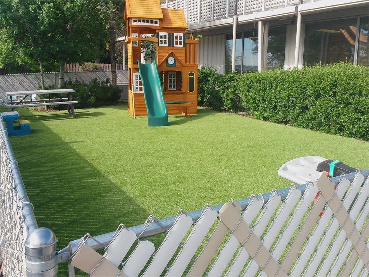 Synthetic Turf Oakdale, California Lawn And Landscape, Backyards