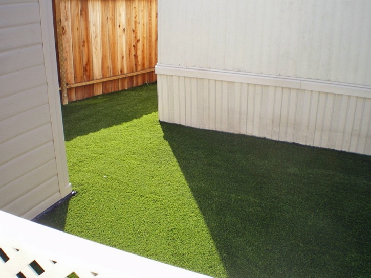 Synthetic Turf Shackelford, California Pictures Of Dogs, Backyard Landscaping Ideas