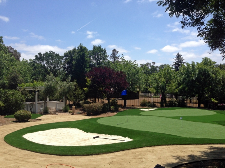Synthetic Turf Supplier Newman, California Office Putting Green, Front Yard Landscaping Ideas