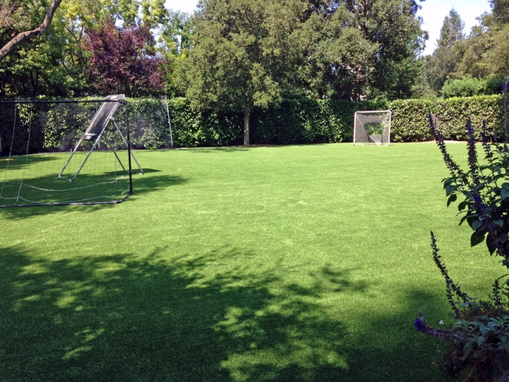 Synthetic Turf Supplier Waterford, California Design Ideas, Backyard Ideas