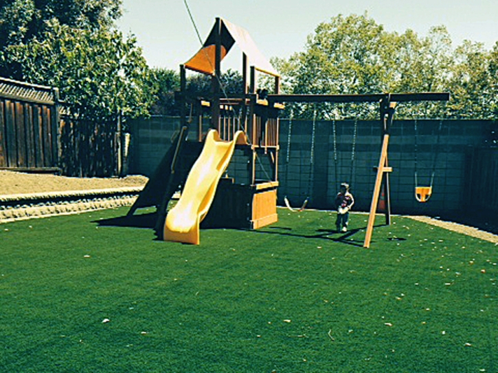 Synthetic Turf Supplier Westley, California Playground Flooring, Backyard Landscaping