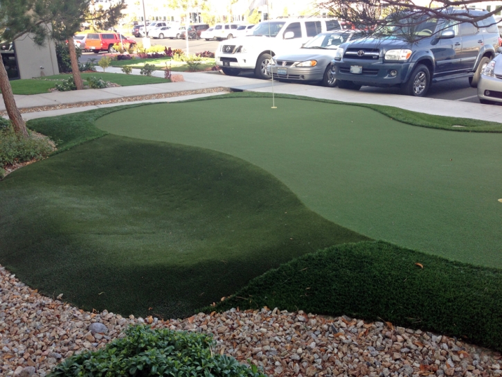 Synthetic Turf Supplier Westley, California Lawn And Landscape, Commercial Landscape