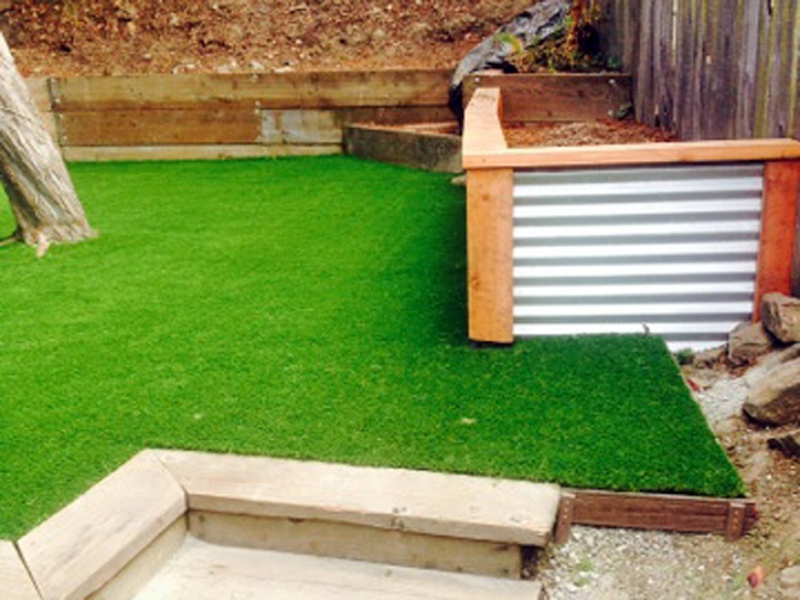 Turf Grass Bystrom, California Landscape Photos, Backyard Landscape Ideas