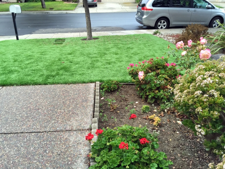 Turf Grass Hickman, California Landscape Design, Landscaping Ideas For Front Yard