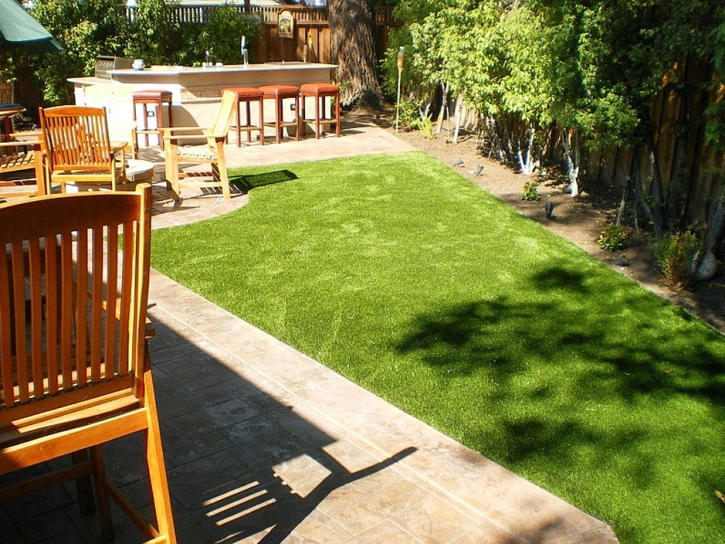 Turf Grass Oakdale, California Pet Grass, Backyard Design