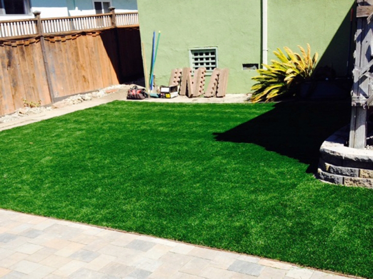 Turf Grass Turlock, California Dogs, Backyard Landscape Ideas