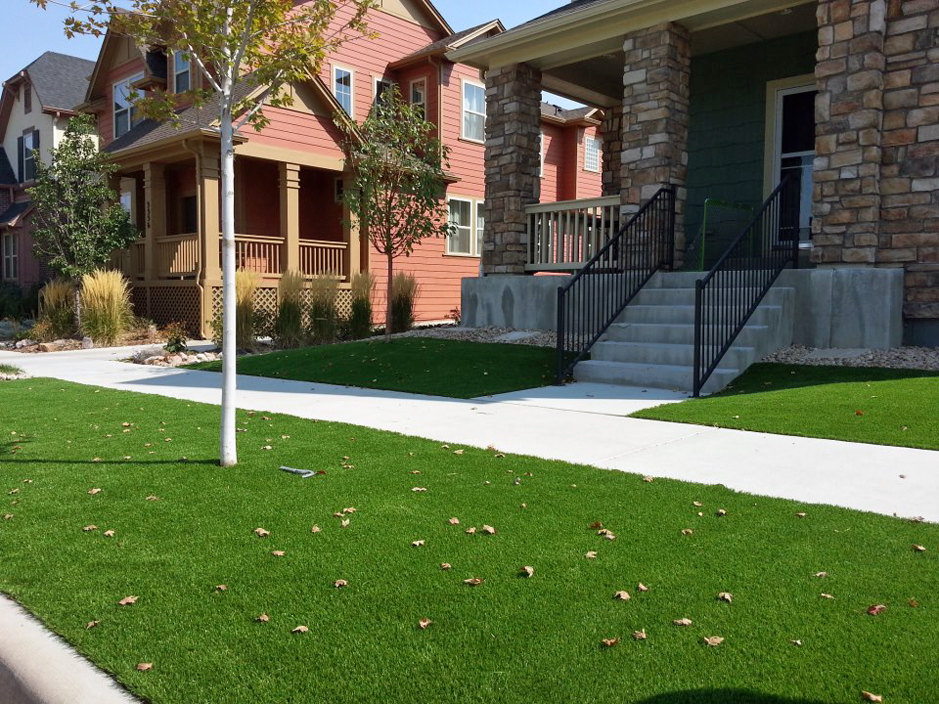 Artificial Grass Installation Modesto, How To Start A Landscaping Business In California