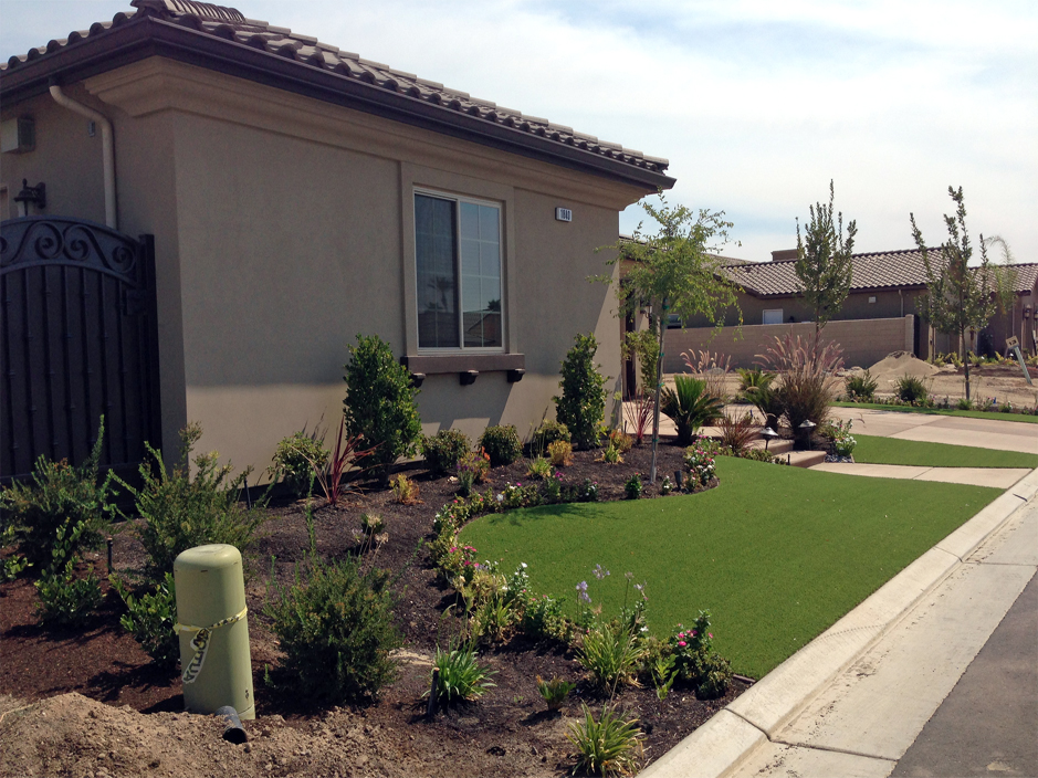 Fake Lawn Crows Landing California, California Front Yard Landscape Ideas