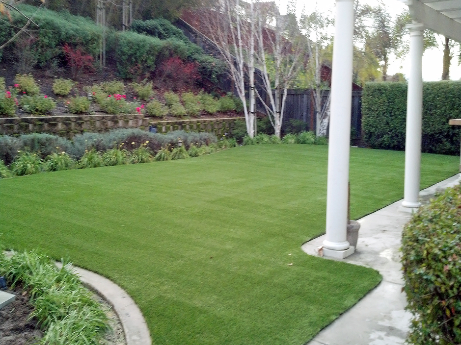 Grass Carpet Ceres California Design, California Backyard Landscape Ideas